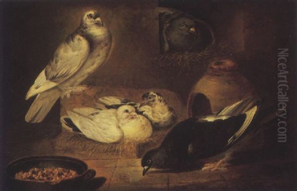 Pigeons In A Barn Oil Painting by Jacob van der (Giacomo da Castello) Kerckhoven