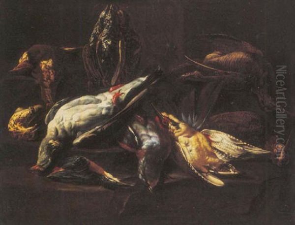 A Pigeon, Kingfisher, Grouse, Green Woodpecker, And Snipe On A Ledge, Hanging Starlings Above Oil Painting by Jacob van der (Giacomo da Castello) Kerckhoven