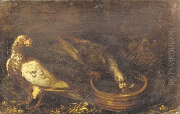 Pigeons In A Yard Oil Painting by Jacob van der (Giacomo da Castello) Kerckhoven