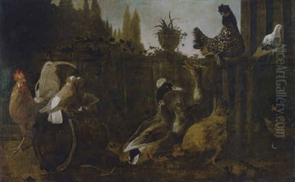 Animali Da Cortile In Un Giardino Formale Oil Painting by Jacob van der (Giacomo da Castello) Kerckhoven