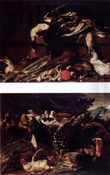 A Dead Cockerel, A Snipe And Other Birds On A Ledge With Funghi And Vegetables Oil Painting by Jacob van der (Giacomo da Castello) Kerckhoven