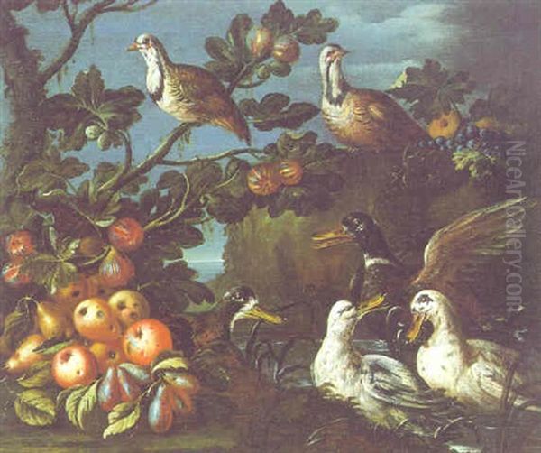 Wachteln Und Wildenten Mit Fruchten An Einem Felsigen Seeufer Oil Painting by Jacob van der (Giacomo da Castello) Kerckhoven