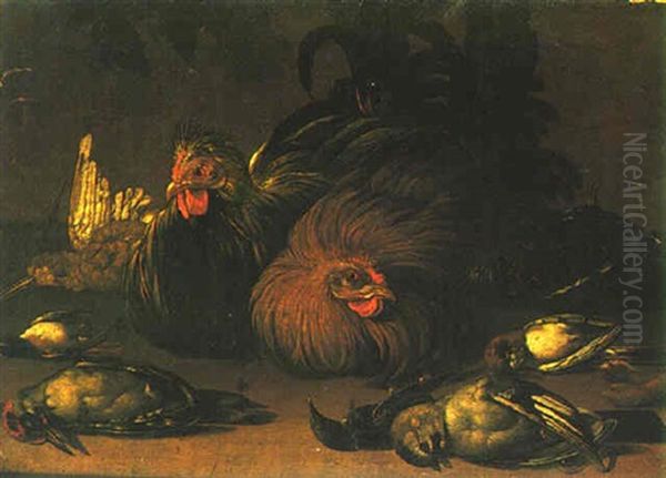 Two Roosters Surrounded By A Woodpecker, A Jay And Other Birds Oil Painting by Jacob van der (Giacomo da Castello) Kerckhoven