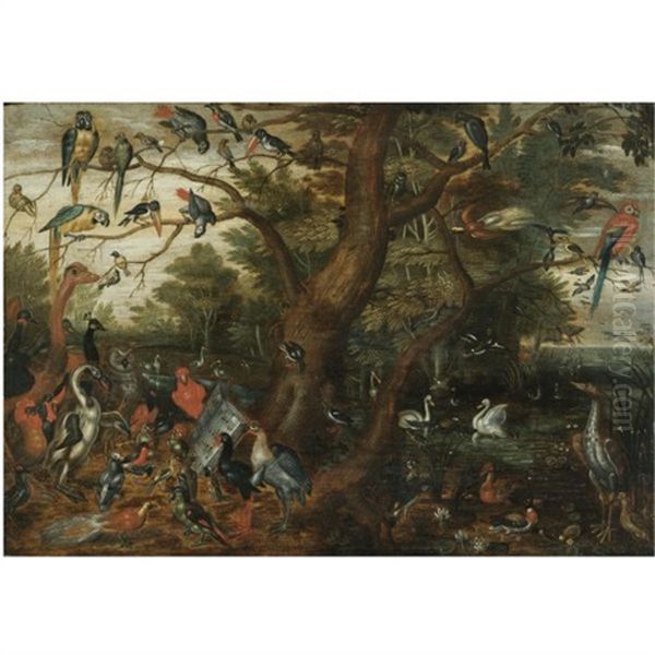 A Concert Of Birds Oil Painting by Jan van Kessel the Elder