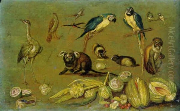 Parrots And Other Birds, Monkeys, Guinea Pigs, And Assorted Fruits And Vegetables Oil Painting by Jan van Kessel the Elder