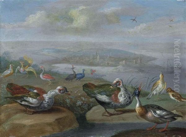 Two Egyptian Geese, A Red-brested Merganser And Other Birds On A Shore, A Town And Vessels Beyond Oil Painting by Jan van, the Younger Kessel