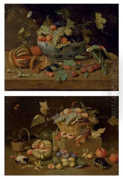 Fruits Dans Un Plat En Delft, Perroquet Et Ecureuil Sur Un Entablement (+ Un Panier De Fruits, Tortue Et Cochon D'inde, Lrgr; 2 Works) Oil Painting by Jan van, the Younger Kessel