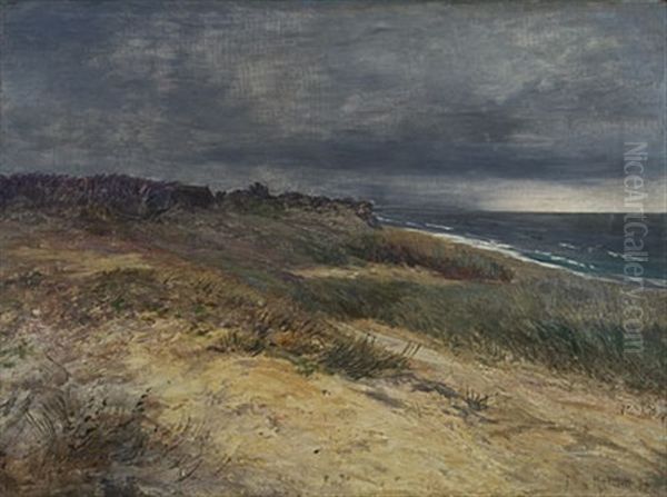 Dunen Bei Ahrenshoop Oil Painting by Marie von Keudell