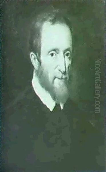 A Portrait Of A Bearded Gentleman, Bust Length Oil Painting by Willem Adriaensz Key