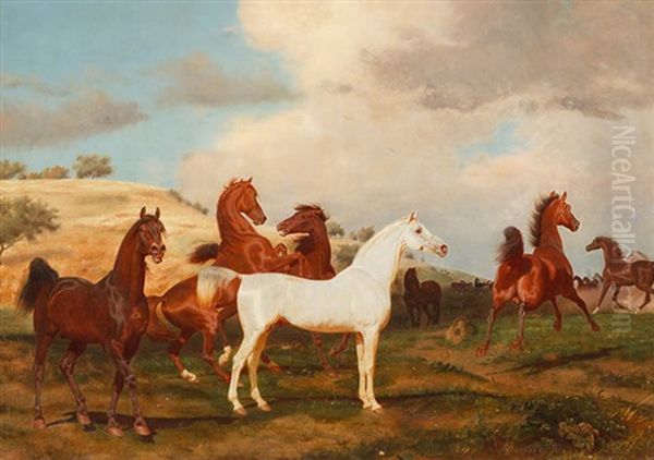 Grose Pferdegruppe Mit Weisem Schimmel In Weiter Landschaft Oil Painting by Friedrich Anton Kilp