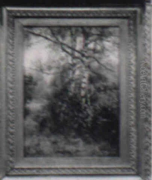 Silver Birch Oil Painting by Henry John Yeend King