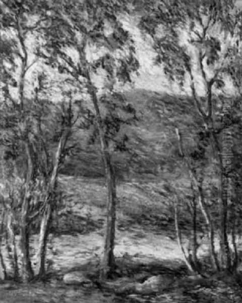 Cedar Creek, Adirondacks Oil Painting by Paul Bernard King