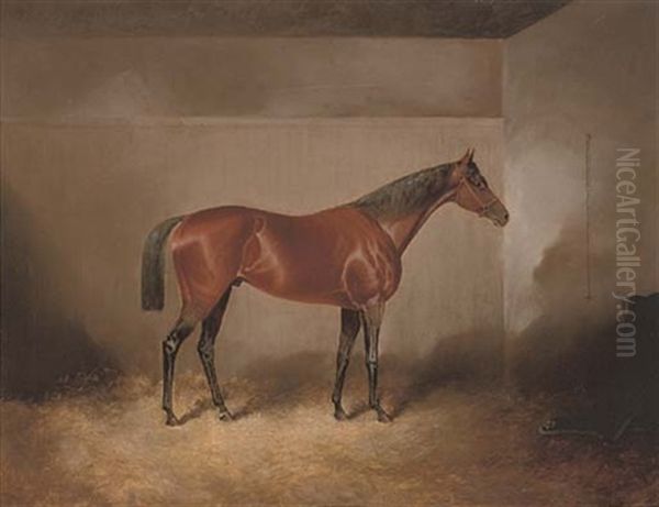 A Bay Hunter In A Stable Oil Painting by James S. Kinnear