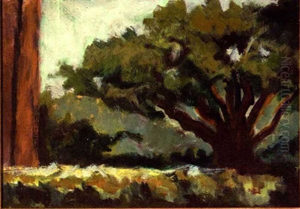 Live Oak By The Old Barn Oil Painting by Alberta Kinsey
