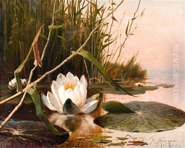 Water Lily Oil Painting by Yuliy Yulevich (Julius) Klever