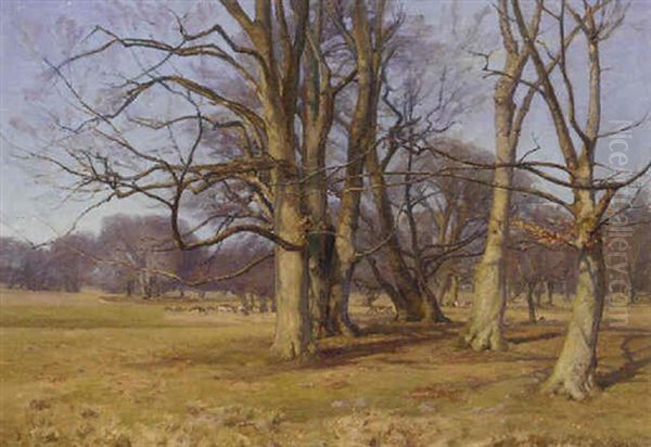 Deer Grazing In A Sunlit Wooded Landscape Oil Painting by Peder Klitz