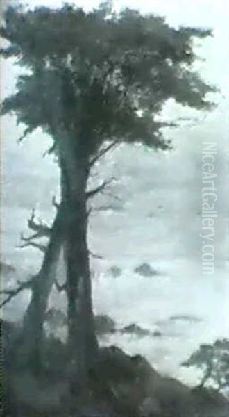 Solitude, Cypess De Montery Oil Painting by Anna Elisabeth Klumpke