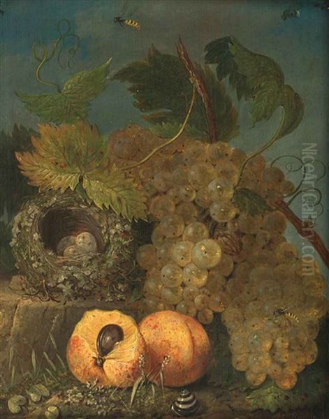 Stillleben Mit Trauben, Bienen Vogelnest U. Pfirsichen Oil Painting by Johann Kneipp