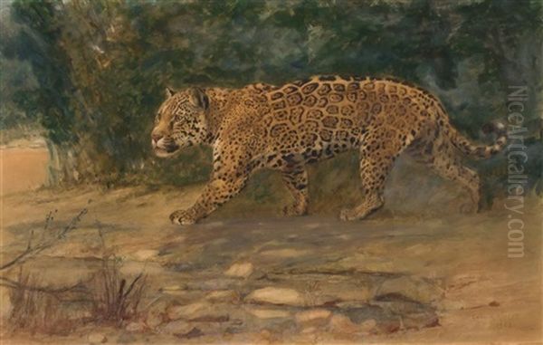 Leopard Oil Painting by Charles Robert Knight