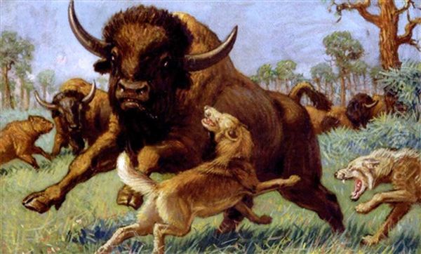 Bison And Wolves Oil Painting by Charles Robert Knight