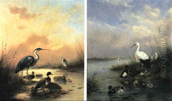 Family Of Mallard And Two Herons Oil Painting by August Knip
