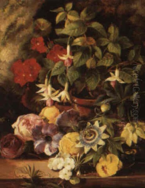 A Still Life With Geranium And Fuschia And Other Flowers On A Ledge Oil Painting by Henriette Gertruide Knip