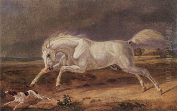 Galoppierender Schimmelhengst, Einen Hund Verfolgend Oil Painting by Wilhelm Alexander Wolfgang von Kobell