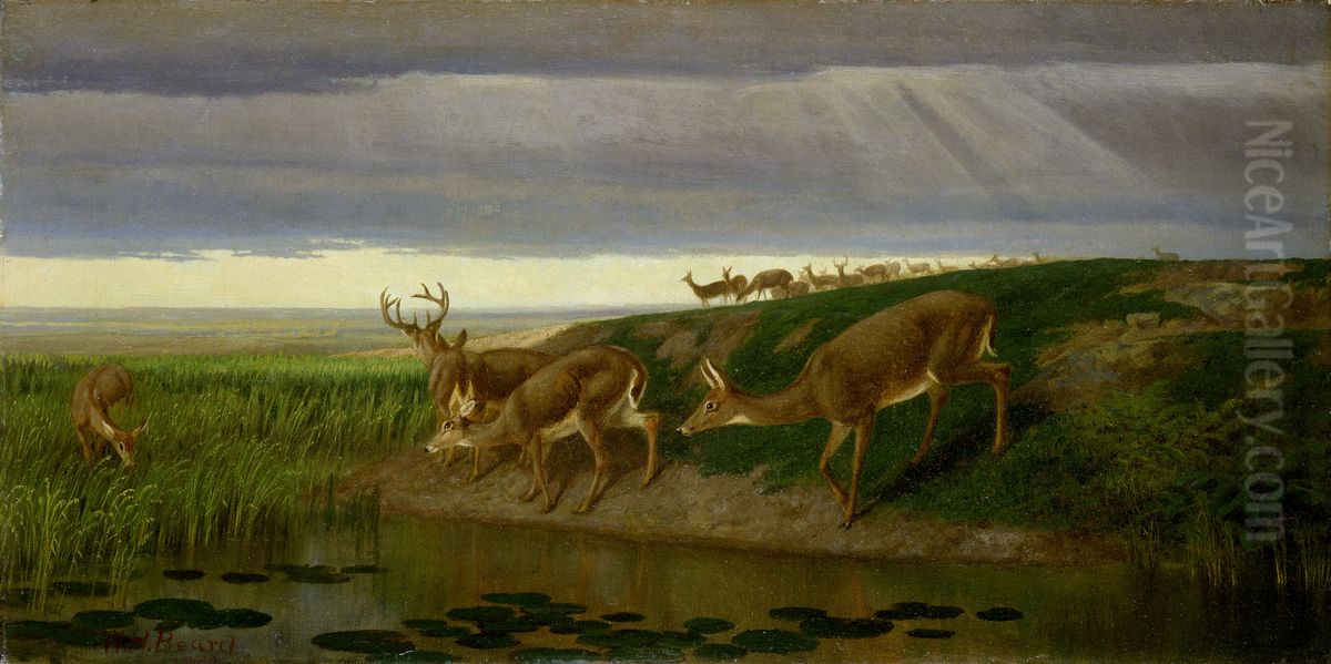 Deer On The Prairie Oil Painting by William Holbrook Beard