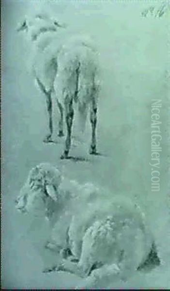 Studienblatt Mit Liegendem Und Stehendem Schaf Von Hinten Oil Painting by Wilhelm Alexander Wolfgang von Kobell