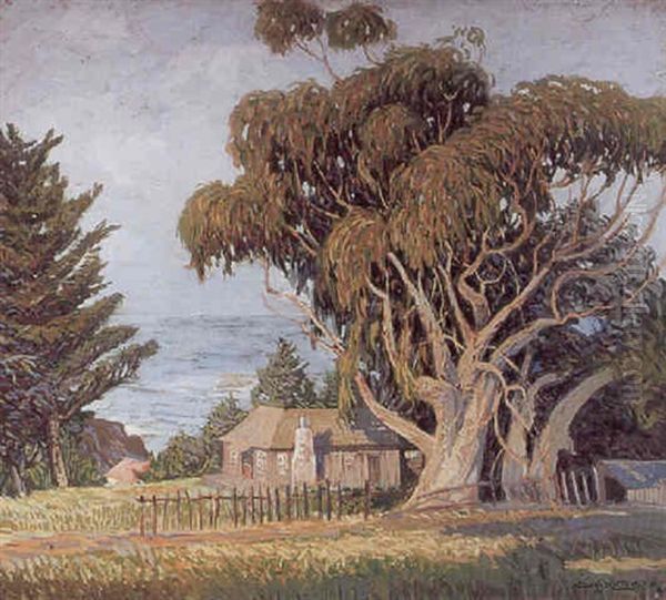 Eucalyptus Trees Near Point Lobos Oil Painting by George Joseph Koch