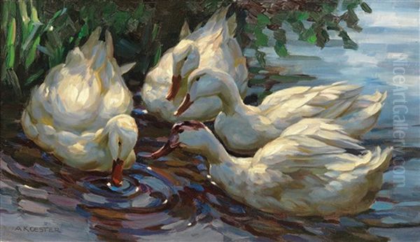 Four Ducks On A Pond Oil Painting by Alexander Max Koester