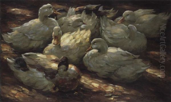 Acht Ruhende Enten Oil Painting by Alexander Max Koester