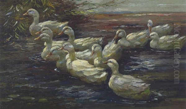 Elf Weise Enten Auf Dem Wasser Zum Verschilften Ufer Nach Links Schwimmend Oil Painting by Alexander Max Koester