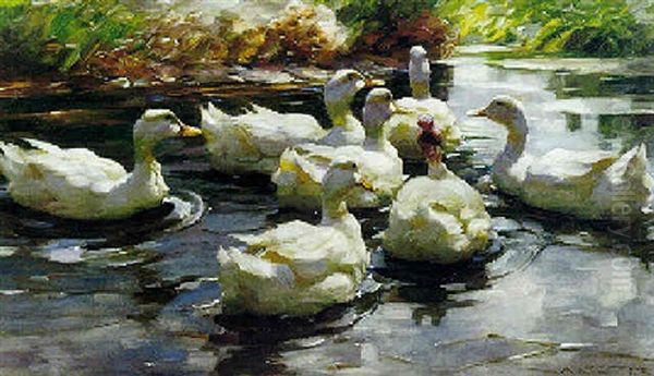 Ducks Paddling Oil Painting by Alexander Max Koester