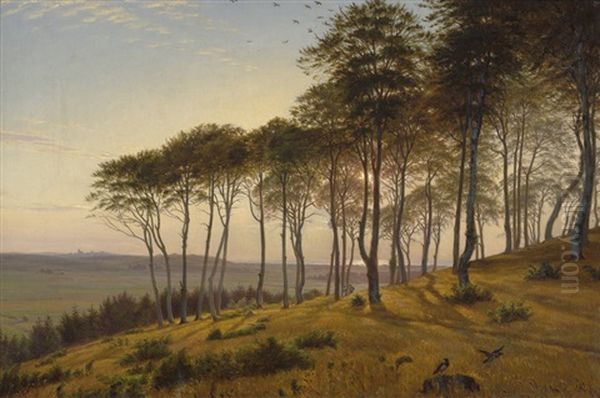 Wald Von Vinderod Auf Seeland Am Spaten Nachmittag Oil Painting by Anton (Claus) Kolle