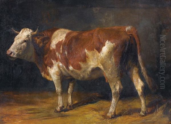 Kuh Im Stall Oil Painting by Johann Rudolf Koller