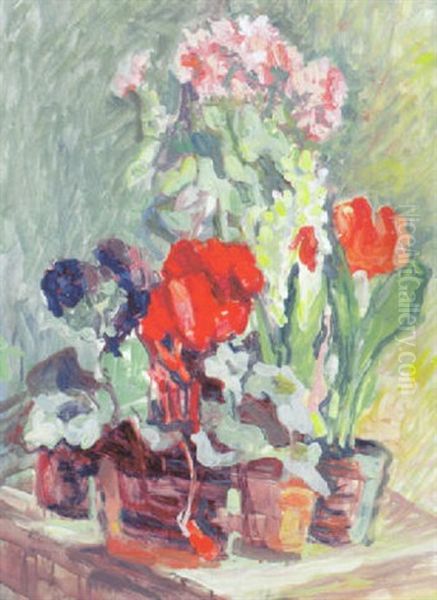 Blumenstilleben Mit Diversen Topfpflanzen Oil Painting by Broncia Koller-Pinell
