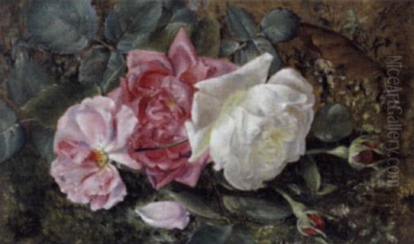 Rosen Am Waldboden Oil Painting by Irma Komlosy