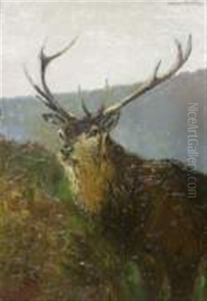 Le Cerf Oil Painting by Ivan Ivanovitch Kowalski