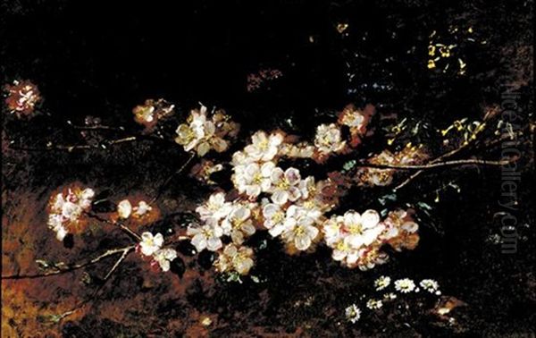 Still Life With Dogwood Oil Painting by Alexis Kreyder