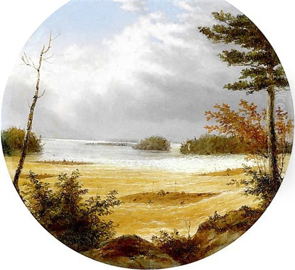 Junction Of The St. Lawrence And Ottawa River Oil Painting by Cornelius David Krieghoff