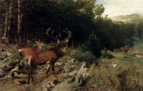 Rotwild Auf Einer Waldlichtung Oil Painting by Christian (Johann Christian) Kroener