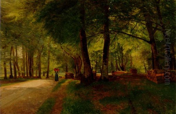 Solbelyst Bokskog Med Kvinna Med Rott Parasoll Oil Painting by Olof Krumlinde