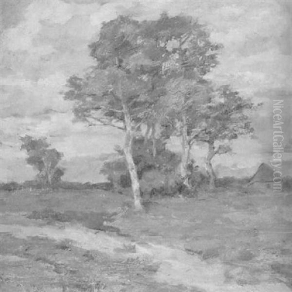 Spatsommerabend Im Moor Oil Painting by Karl Krummacher