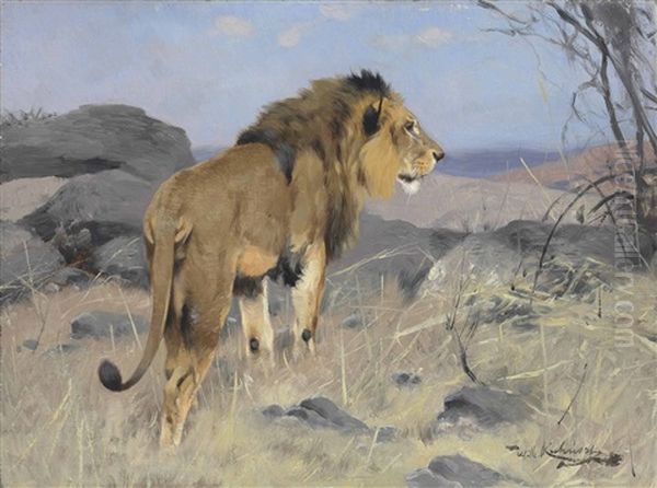 The Lion Oil Painting by Wilhelm Friedrich Kuhnert