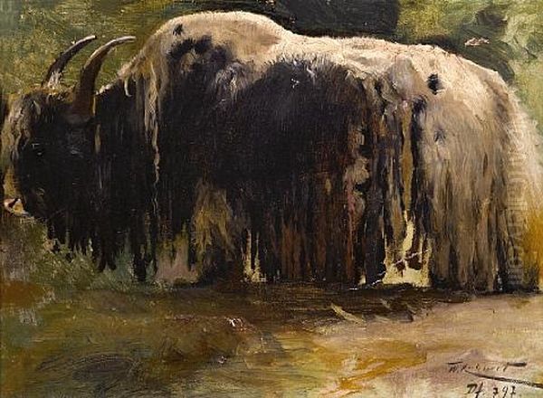 A Yak (study) Oil Painting by Wilhelm Friedrich Kuhnert
