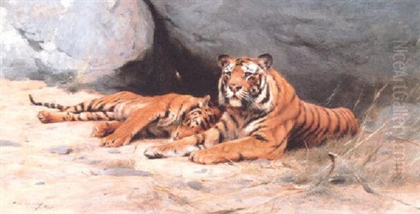 Tigers Resting Oil Painting by Wilhelm Friedrich Kuhnert