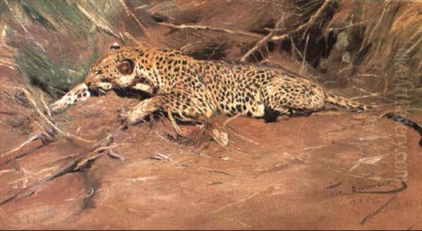 Ein Leopard Oil Painting by Wilhelm Friedrich Kuhnert