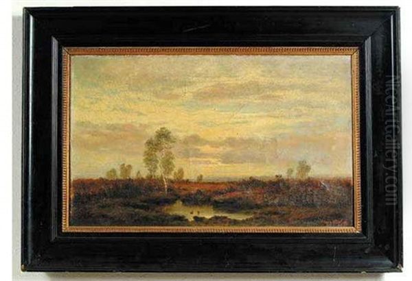 A Marsh At Dusk Oil Painting by Friedrich Kurz