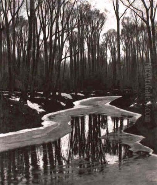 Waldbach Im Vorfruhling Oil Painting by Carl Kuestner